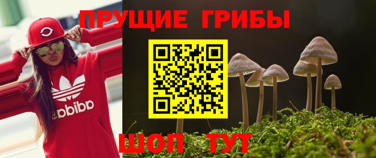 Галлюциногенные грибы Cubensis Рассказово
