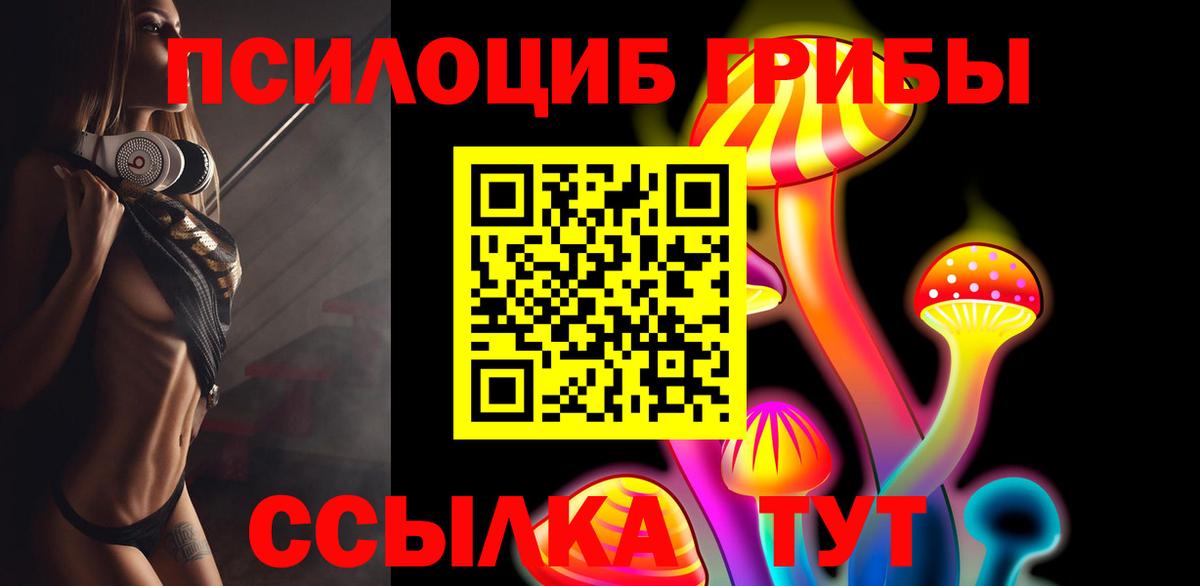 Рассказово  Псилоцибиновые грибы Psilocybe  Вход с VPN 